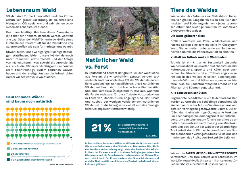 Flyer »Wald« (100 Stück)