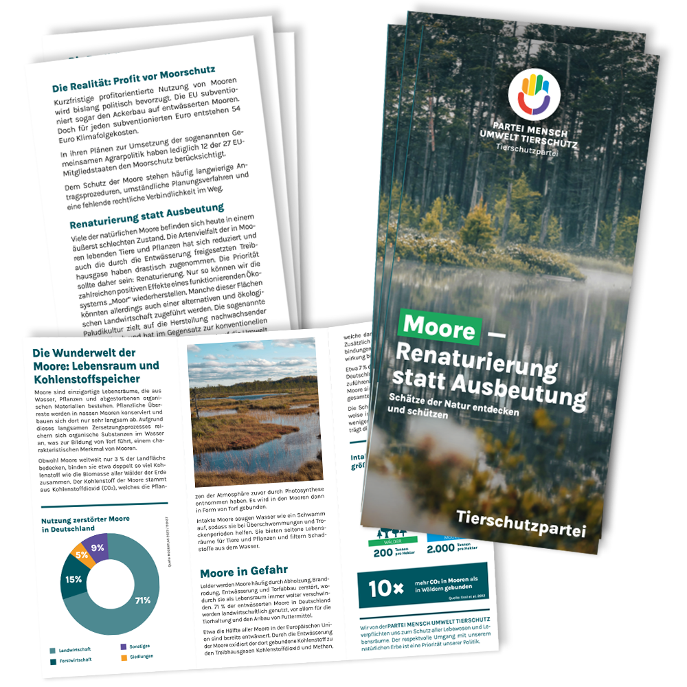 Flyer »Moore« (100 Stück)