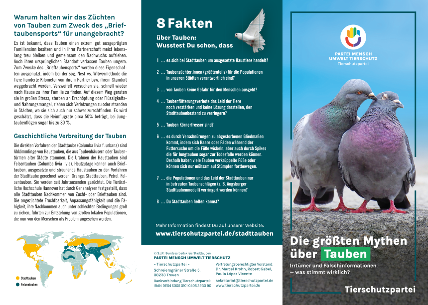 Flyer »Stadttauben« (100 Stk.)