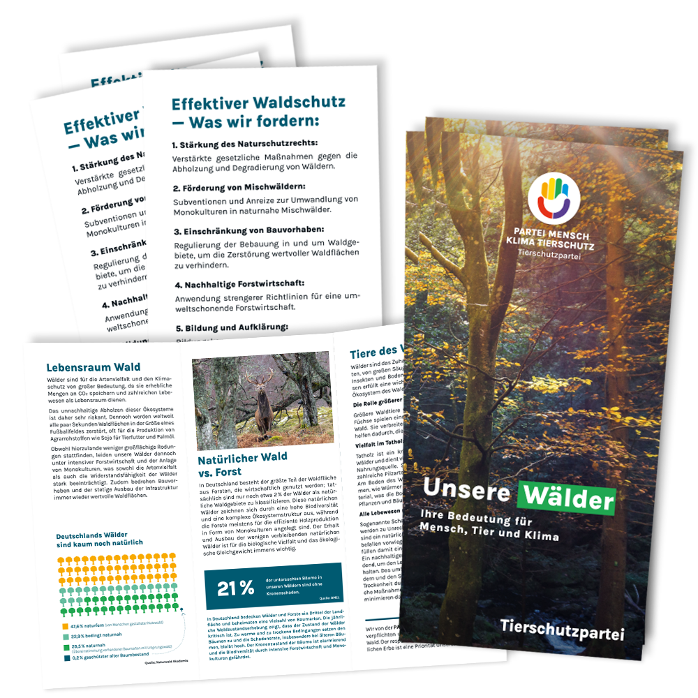 Flyer »Wald« (100 Stück)