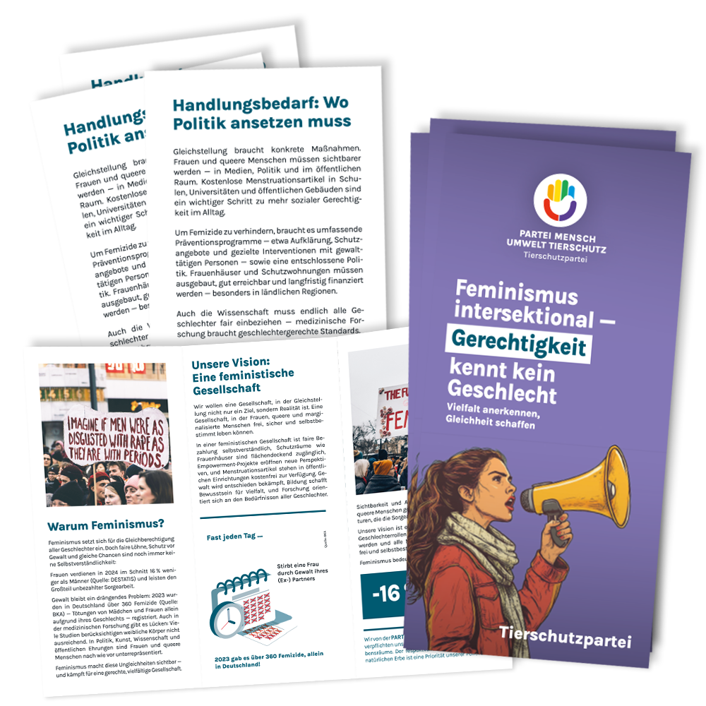 Flyer »Feminismus« (100 Stück)