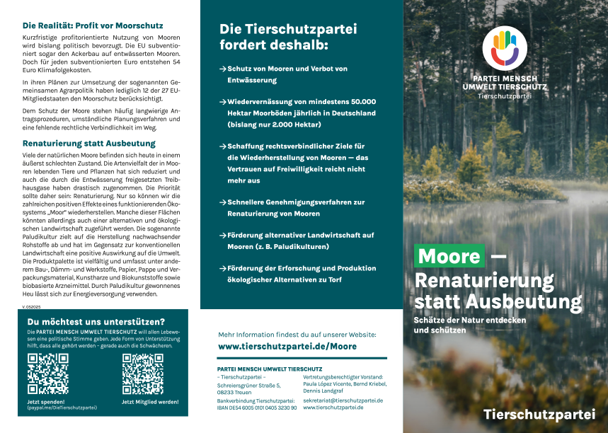 Flyer »Moore« (100 Stück)